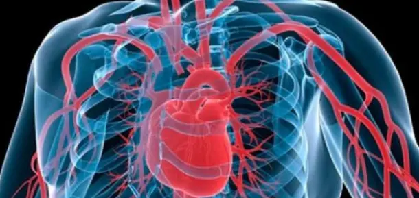 تكلفة المسح الذرى على القلب