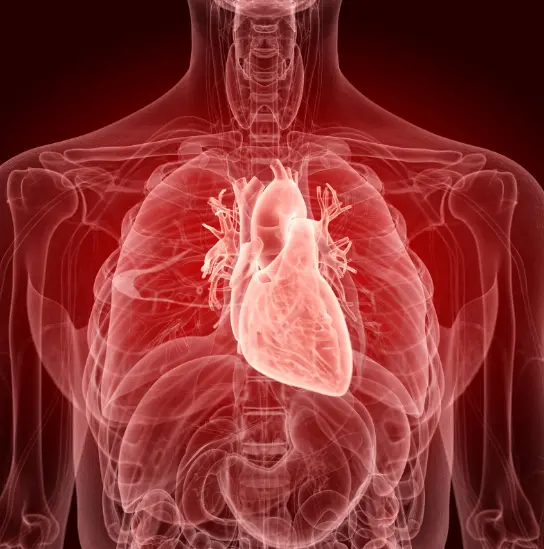 تكلفة المسح الذرى على القلب