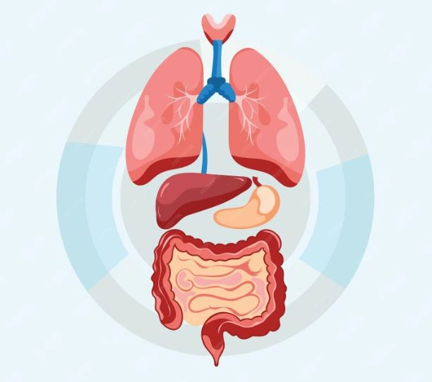 مناظير الجهاز الهضمي