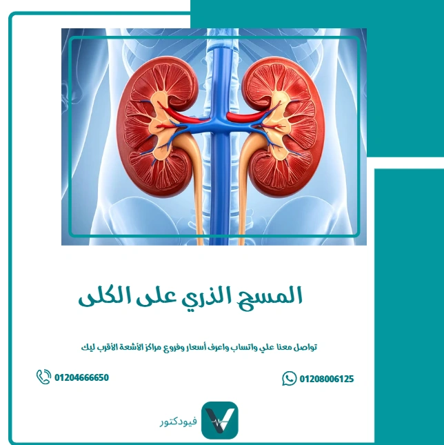 الرئيسية 24 المسح الذري على الكلى