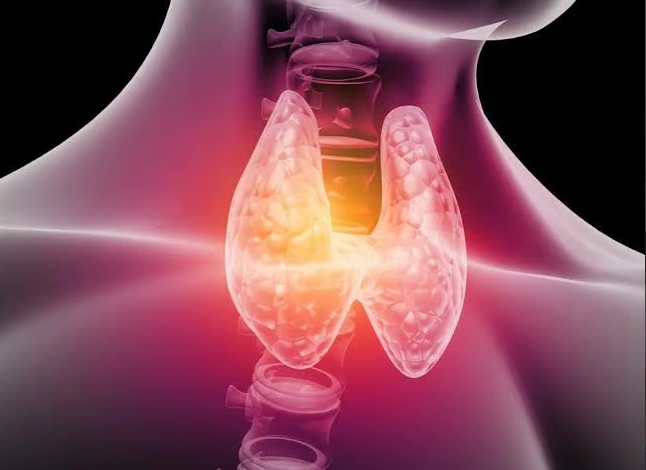 المسح الذري للغدة الدرقية 3 المسح الذري للغدة الدرقية