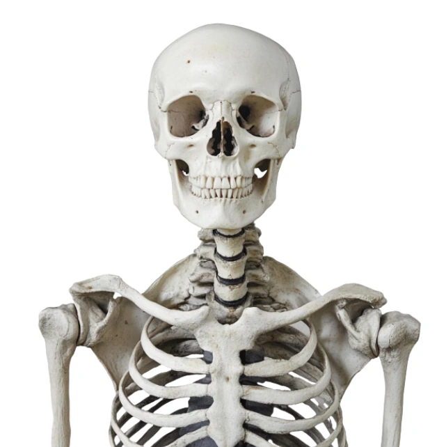 المسح الذري على العظام 3 المسح الذري على العظام