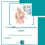 سعر منظار المعدة